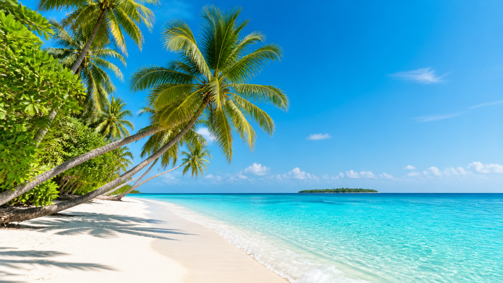 Tropical beach with palm trees and turquoise water